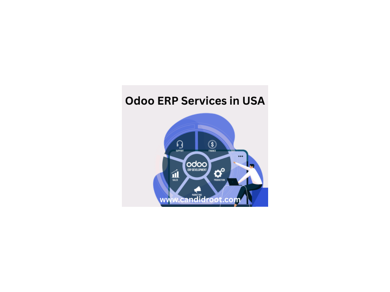 best-odoo-erp-services-in-usa-small-0