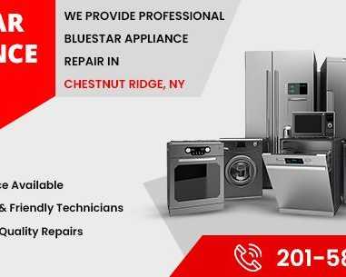bluestar-appliance-repair-in-chestnut-ridge-ny-fast-service