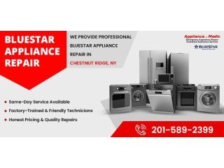 bluestar-appliance-repair-in-chestnut-ridge-ny-fast-service-small-0