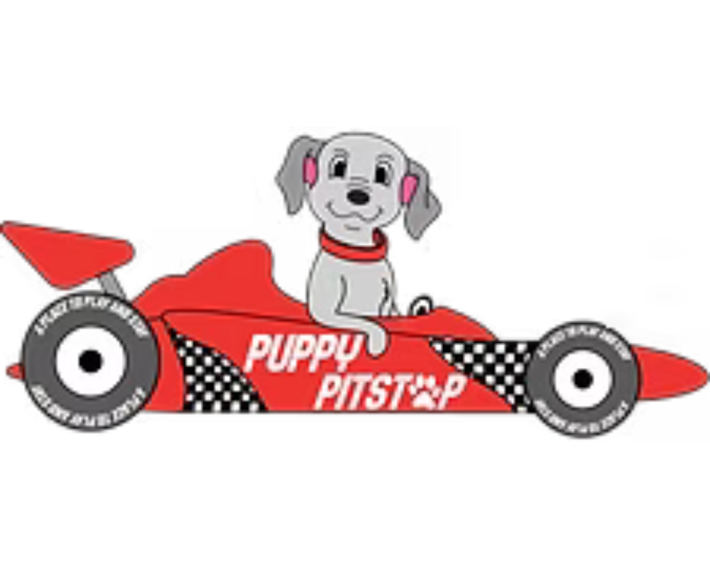 puppy-pitstop-doggy-day-care