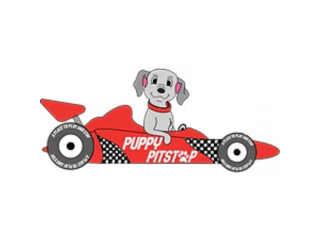 puppy-pitstop-doggy-day-care-small-0