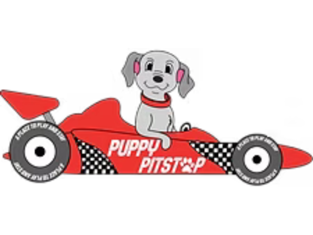 puppy-pitstop-doggy-day-care