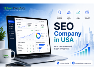 seo-company-in-usa-grow-your-business-with-expert-seo-services-small-0