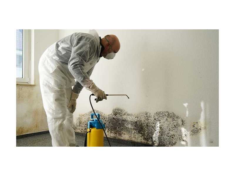 alpha-omega-disaster-restoration-small-1