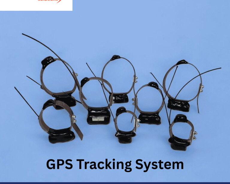 powerful-gps-tracking-system-for-wildlife-safety-and-research