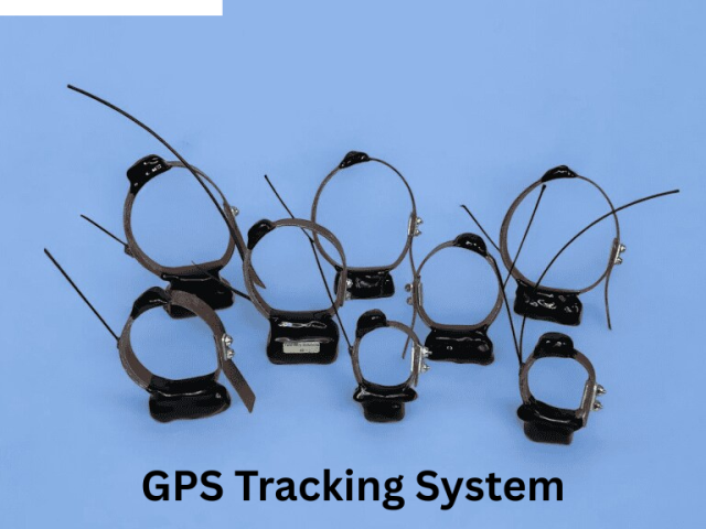 powerful-gps-tracking-system-for-wildlife-safety-and-research