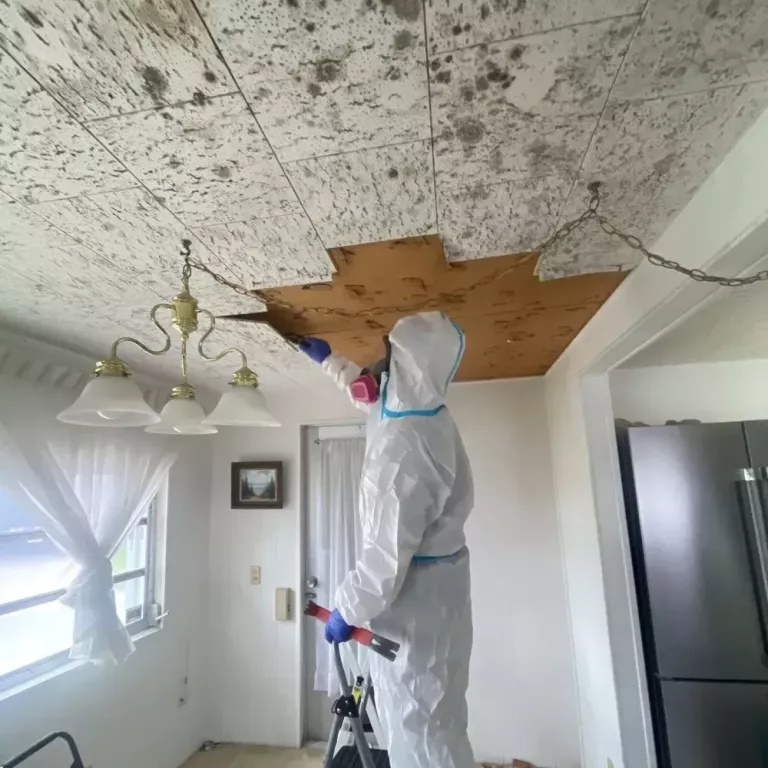 roof-leak-repair-tampa-flrapid-recovery-team-tampa-big-0