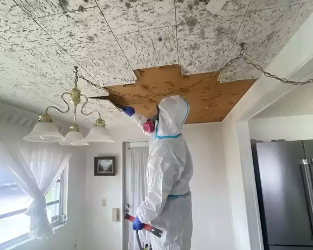 roof-leak-repair-tampa-flrapid-recovery-team-tampa