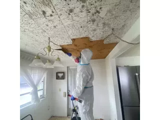 roof-leak-repair-tampa-flrapid-recovery-team-tampa-small-0
