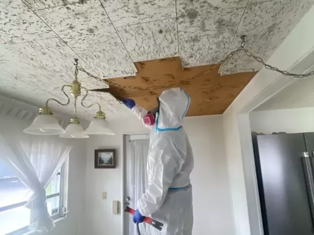 roof-leak-repair-tampa-flrapid-recovery-team-tampa