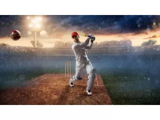 tigerexch-smooth-reliable-online-cricket-platform-small-0