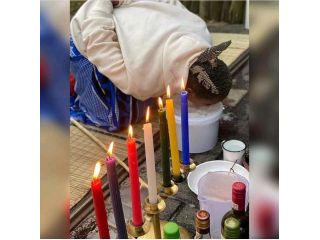 get-ex-lover-back-by-love-spell-powerful-sangoma-27685771974-small-0