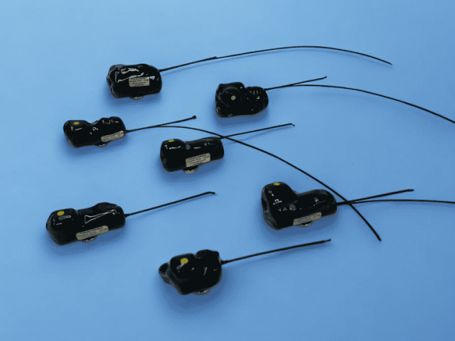 how-do-tracking-gps-systems-improve-wildlife-monitoring-today