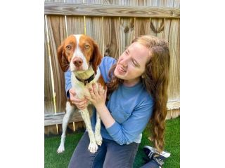 trusted-dog-sitter-in-franklin-reliable-loving-pet-care-small-0