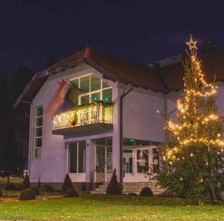 bright-christmas-light-installation-jacksonville-big-0