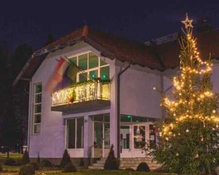 bright-christmas-light-installation-jacksonville