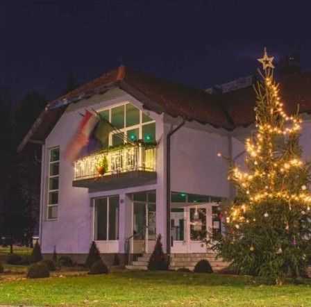 bright-christmas-light-installation-jacksonville-big-0