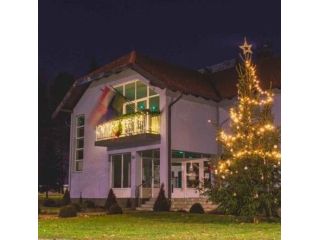 bright-christmas-light-installation-jacksonville-small-0