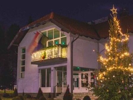 bright-christmas-light-installation-jacksonville