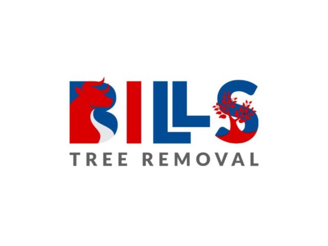 professional-tree-cutting-service-for-safe-clean-results