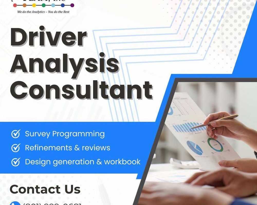driver-analysis-consultant