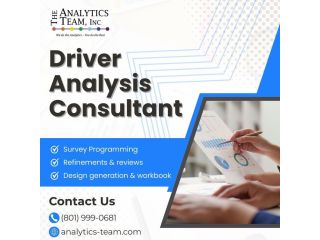 driver-analysis-consultant-small-0