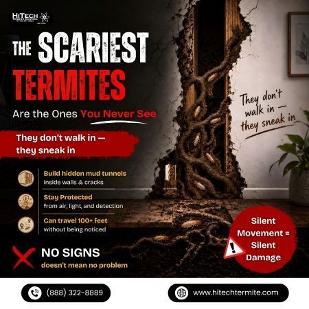 the-scariest-termites-are-the-ones-you-never-see-big-0