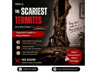 the-scariest-termites-are-the-ones-you-never-see-small-0