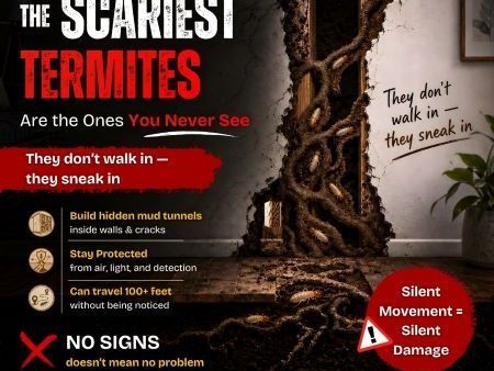the-scariest-termites-are-the-ones-you-never-see