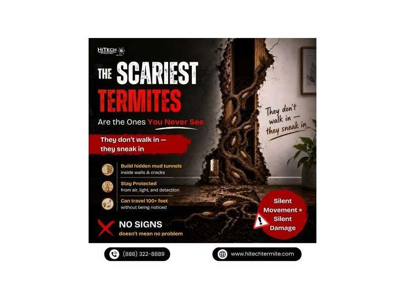 the-scariest-termites-are-the-ones-you-never-see-small-0