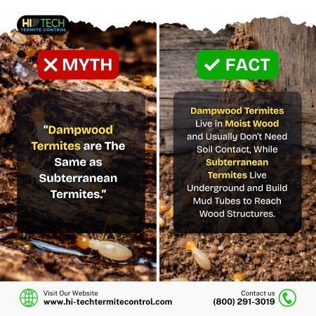 myth-vs-fact-big-0