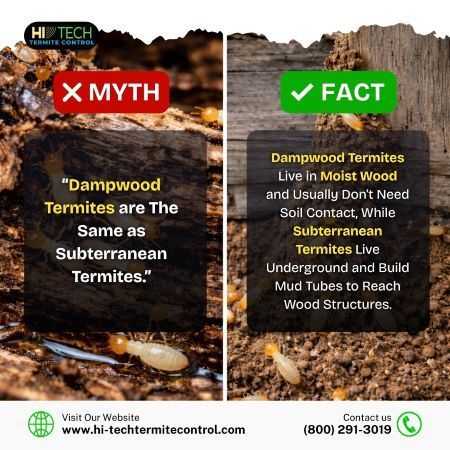 myth-vs-fact-big-0
