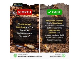 myth-vs-fact-small-0