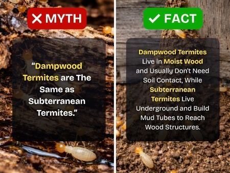 myth-vs-fact