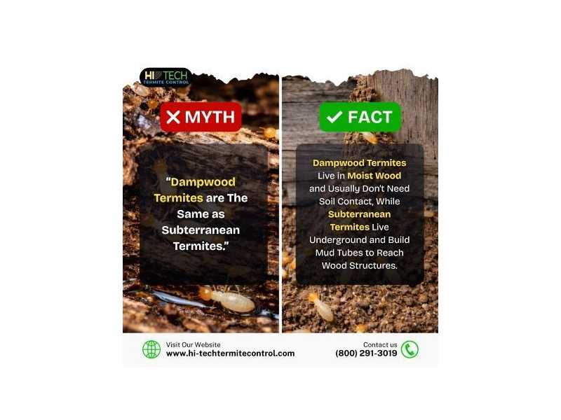 myth-vs-fact-small-0