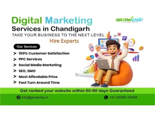 best-digital-marketing-agency-in-chandigarh-small-0