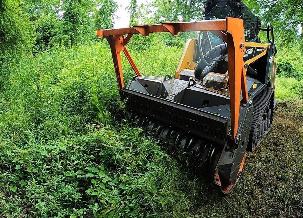 professional-forestry-mowing-in-hilo-clear-your-land-efficiently-big-0