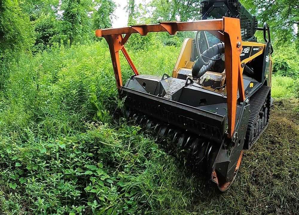 professional-forestry-mowing-in-hilo-clear-your-land-efficiently-big-0