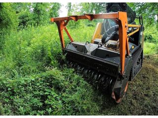 professional-forestry-mowing-in-hilo-clear-your-land-efficiently-small-0
