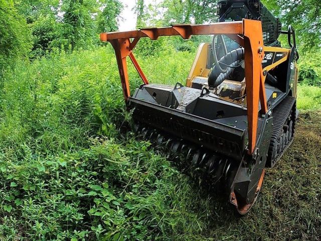 professional-forestry-mowing-in-hilo-clear-your-land-efficiently