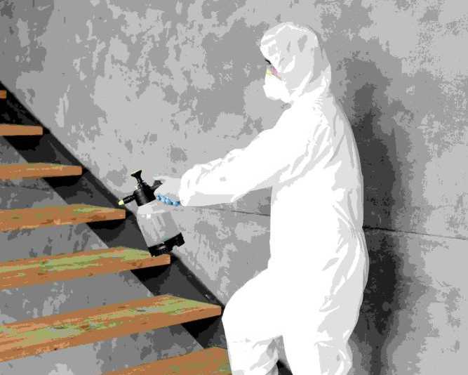 residential-termite-control-experts-near-you