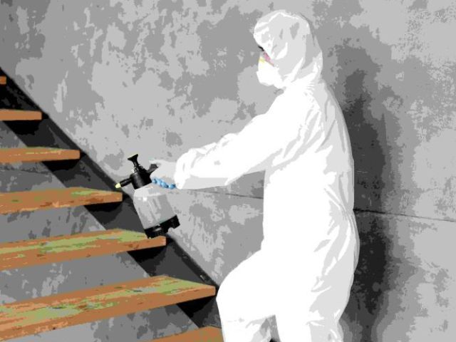 residential-termite-control-experts-near-you