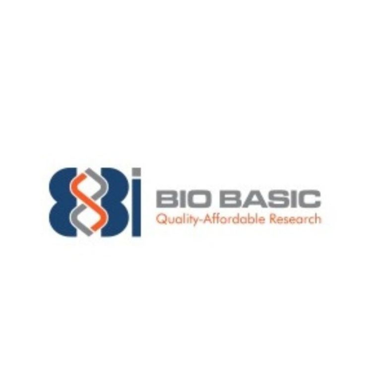 gene-cloning-vectors-for-efficient-dna-research-big-0