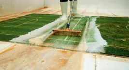 green-carpet-cleaning-big-0