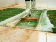 green-carpet-cleaning