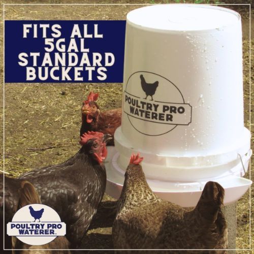 bucket-chicken-waterer-big-0