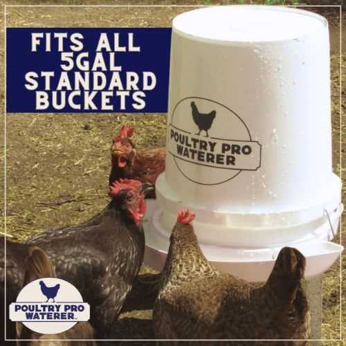 bucket-chicken-waterer-big-0