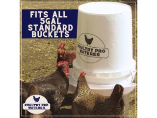 bucket-chicken-waterer-small-0