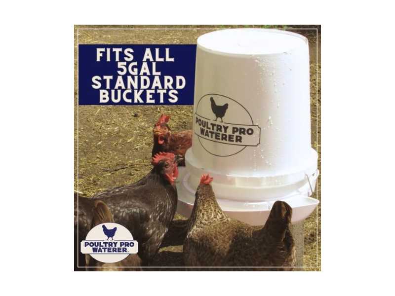 bucket-chicken-waterer-small-0