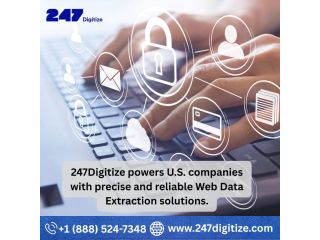 accurate-web-data-extraction-services-for-business-insights-small-0